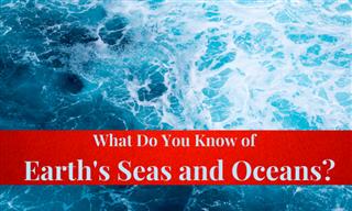 Test Yourself On Earth's Seas and Oceans