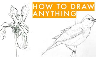 How to Draw Anything in 7 Easy Steps