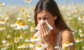 Why Spring Allergies Are Getting Worse Every Year