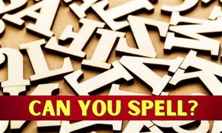 English Quiz: Spell to Complete the Sentence!
