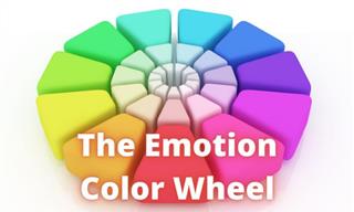 QUIZ: The Emotion-Color Wheel!