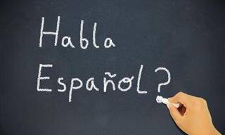 QUIZ: How Much Basic Spanish Do You know?