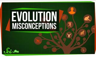 Common Myths About Evolution Dispelled