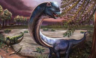 The Last Titan: Enormous Dinosaur is Discovered
