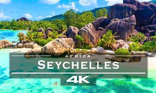 The African Beauty of the Seychelle Islands