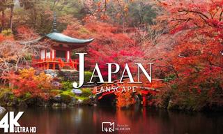 Flying Over the Most Beautiful Natural Spots In Japan