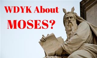 QUIZ: What Do You Know About MOSES?