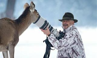 Funny Wildlife Encounters That Had Us Laughing - 17 Pics