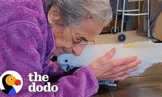 Grandma, 102, Finds a Loving Friend in Cockatoo