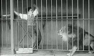 Watch: Charlie Chaplin in the Lion's Cage