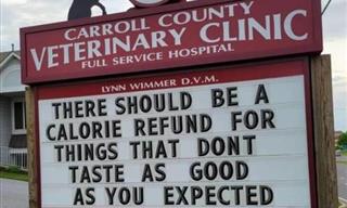 12 Amusing Vet Signs That Will Make You Laugh