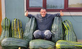 These Are Some Serious Gardening Skills! 22 Giant Fruit and Veggies