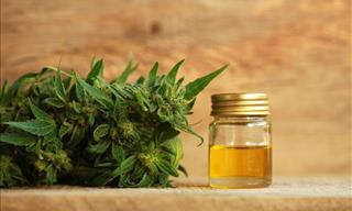 CBD Oil: 7 Proven Health Benefits and Uses