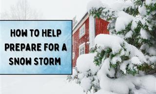 Don't Let a Winter Storm Take You by Surprise. Prepare!