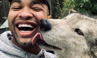 Want to Pet Some Friendly Wolves? Head Down to Washington!