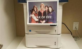 Funny Photos Taken on the Job