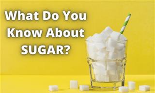 QUIZ: How Much Do You Know About Sugar?