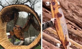 14 Woodworking Masterpieces You Must See