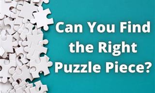 Can You Pass the Puzzle Test?