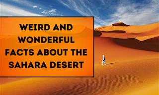 These Facts About the Sahara Desert Will Surprise You