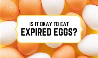 Can You Risk Eating Eggs Past Their Prime?
