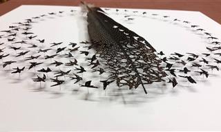 Enjoy 10 of Chris Maynard's Feather-Cut Artworks