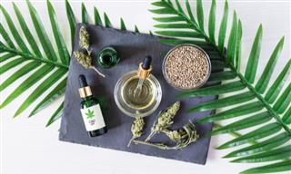 The Benefits and Uses of CBD Oil