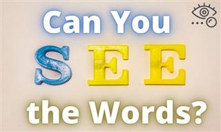 QUIZ: Can You See the Hiding Words?