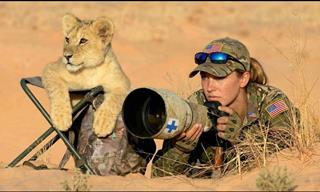 The Most Incredible Moments of Nature Photographers