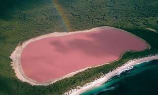 Romantic Pink Lakes