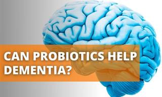 Probiotics For Alzheimer’s - Can They Help?