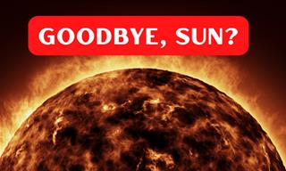 Shocking! This is When Our Sun Will Burn Out