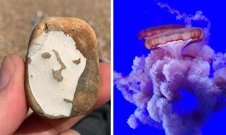 16 Of Nature's Best Unintentional Works of Art
