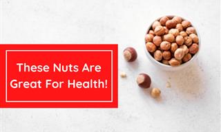 You’ll Go Nuts Knowing the Health Benefits of Hazelnuts