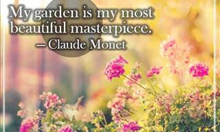 Collection: The Most Inspirational Quotes!