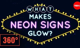 Neon Lights: a Beautiful Union of Science and Art
