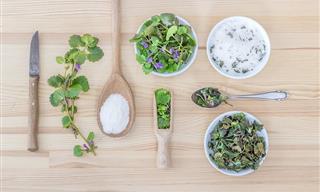 4 Proven Ways to Keep Your Herbs Fresh
