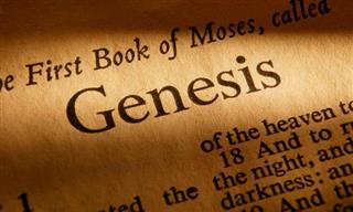 How Well Do You Know the Book of Genesis?