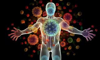 The Sleeping Viruses We Carry Within Us