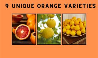 How Many of These Unique Orange Varieties Have You Tried?
