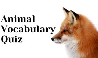 This Animal Quiz Will Actually Test Your Vocabulary!