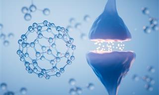 New Study Discovers Dopamine's True Function