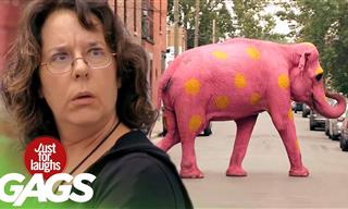 Just for Laughs Gags: Watch Out for These Wild Animals!