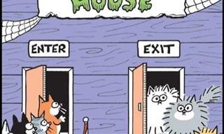 20 Comic Strips That Will Provide Lightness and Smiles