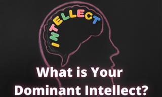 Test: What is Your Dominant Intellect?