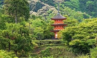 Take a Tour Through the Gorgeous Kyoto Temples