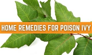 The Most Effective Home Remedies For Poison Ivy