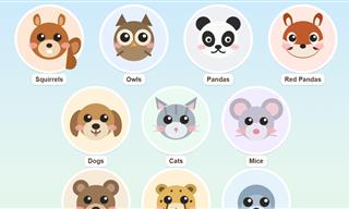 Click on an Adorable Animal to See a Video