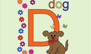 The ABCs of Dogs