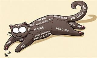 Hilarious Catsu the Cat Comics
